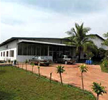 Single-storey factory building with palm trees in front